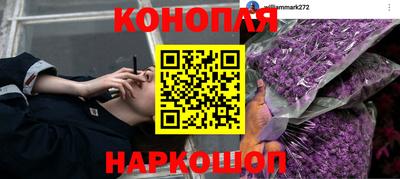 винт Чапаевск