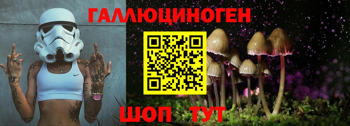 Городец  Псилоцибиновые грибы GOLDEN TEACHER  Вход с VPN 