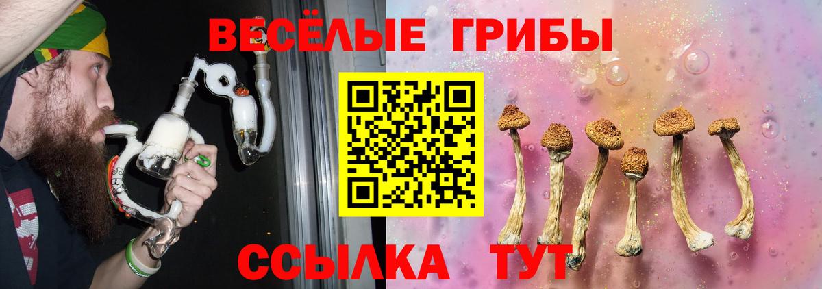 Псилоцибиновые грибы мицелий Городец